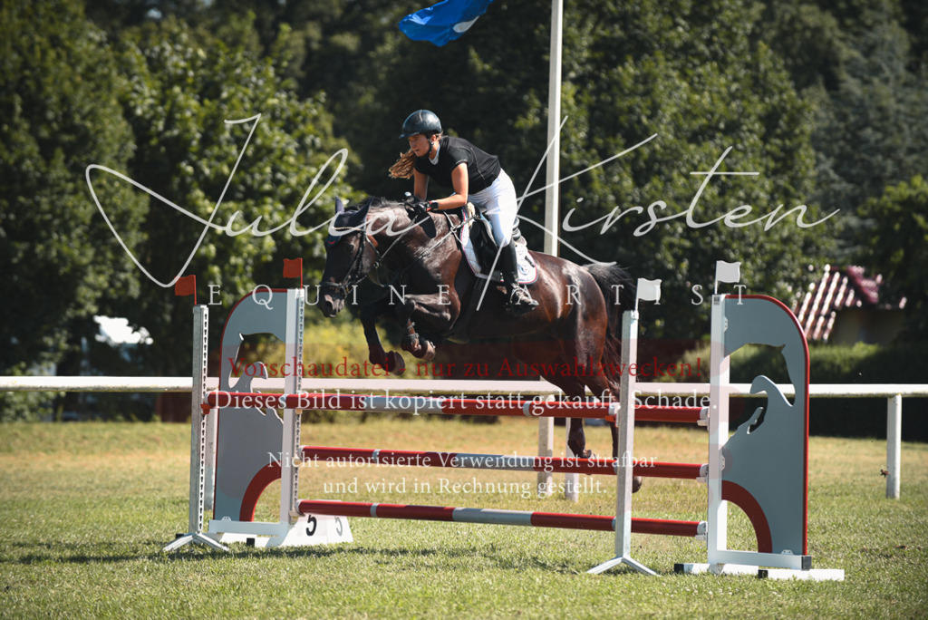 DSC_7075 | Pferde- und Turnierfotografie in Westsachsen. Pferdeportraits, Auftragszeichnungen und intuitive Kunst.