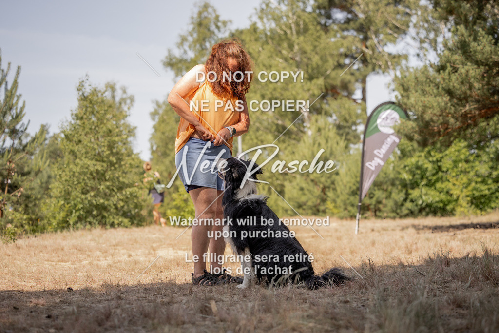 nelerasche_soDD2_450 | nelerasche