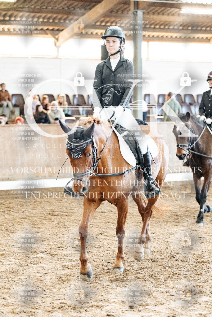 CK900369 | Turnierfotografie Pferdefotografie Trier Rheinland-Pfalz Pferdesport Reitsport Tierfotografie Sportfotografie Pferdevideo Pferdevideografie Equestrianvideography equestrianphotography  - Realisiert mit Pictrs.com