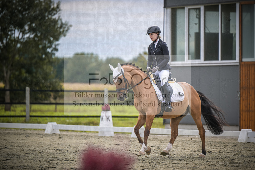DOS_2098 | Entdecke hochwertige Reitturnierfotos von Foto Oger. Professionell, emotional und authentisch – jetzt Lieblingsmomente im Shop bestellen.Deutschlandweite Turnierfotografie. - Realisiert mit Pictrs.com