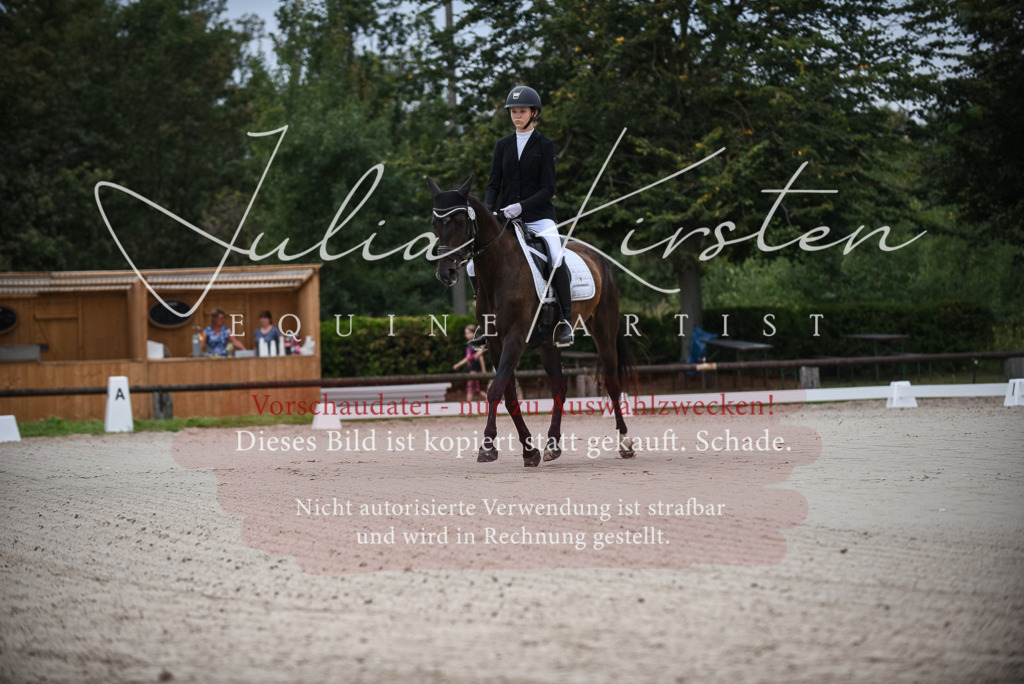 DSC_7912 | Pferde- und Turnierfotografie in Westsachsen. Pferdeportraits, Auftragszeichnungen und intuitive Kunst.