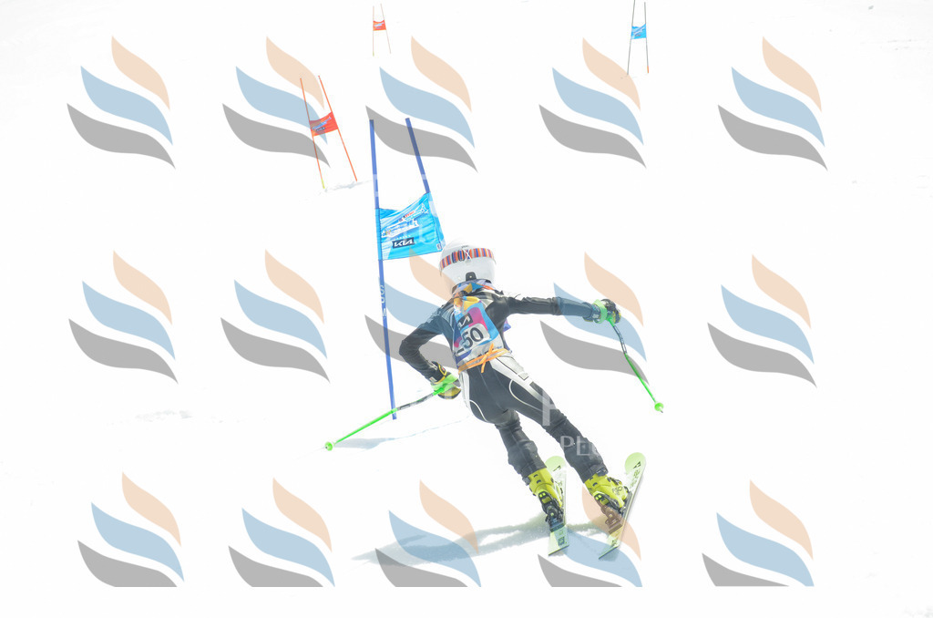 _ELE7557 | holidayphoto