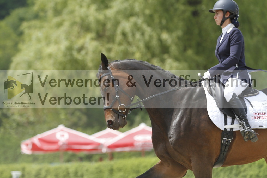 _MG_9589 | equestrian-live-com