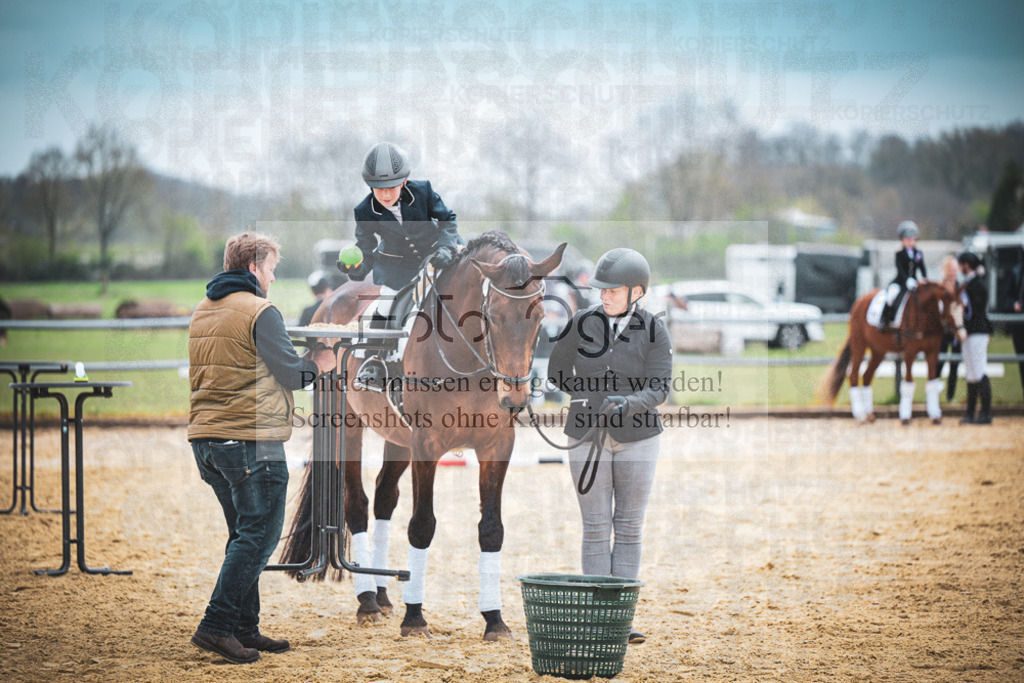 DOS_8484 | Entdecke hochwertige Reitturnierfotos von Foto Oger. Professionell, emotional und authentisch – jetzt Lieblingsmomente im Shop bestellen.Deutschlandweite Turnierfotografie. - Realisiert mit Pictrs.com