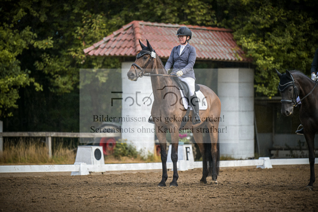 DOS_1248 | Entdecke hochwertige Reitturnierfotos von Foto Oger. Professionell, emotional und authentisch – jetzt Lieblingsmomente im Shop bestellen.Deutschlandweite Turnierfotografie. - Realisiert mit Pictrs.com