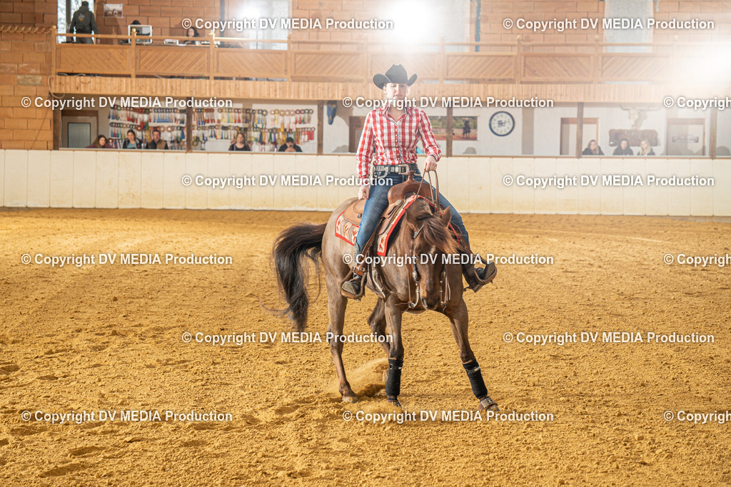 MIT00666 | dv-media-shop - Realisiert mit Pictrs.com