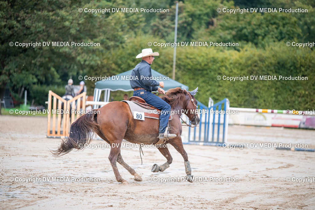 ZS2_4427 | dv-media-shop - Realisiert mit Pictrs.com