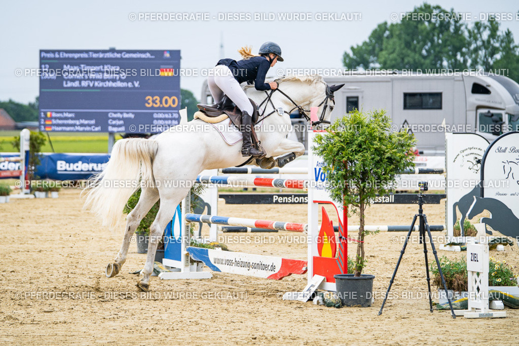 DSC06950 | Pferdegrafie