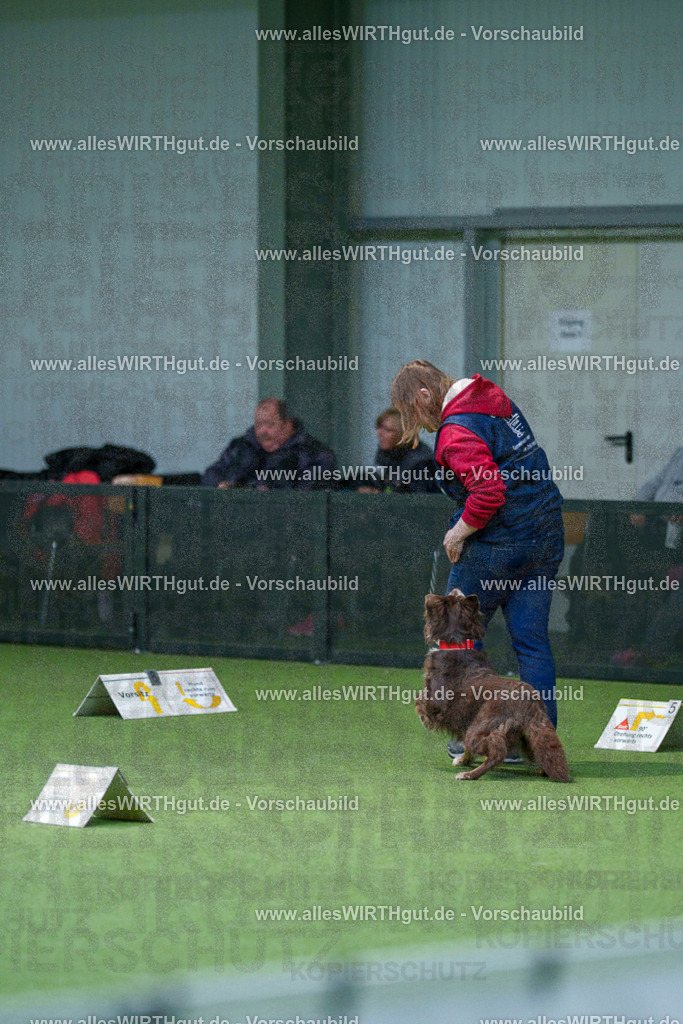 7R506148 | Professionelle Tierfotografie in Mönchengladbach von Daniel Wirth (allesWIRTHgut). Liebevolle & natürliche Bilder von Hunden & Katzen für unvergessliche Erinnerungen.