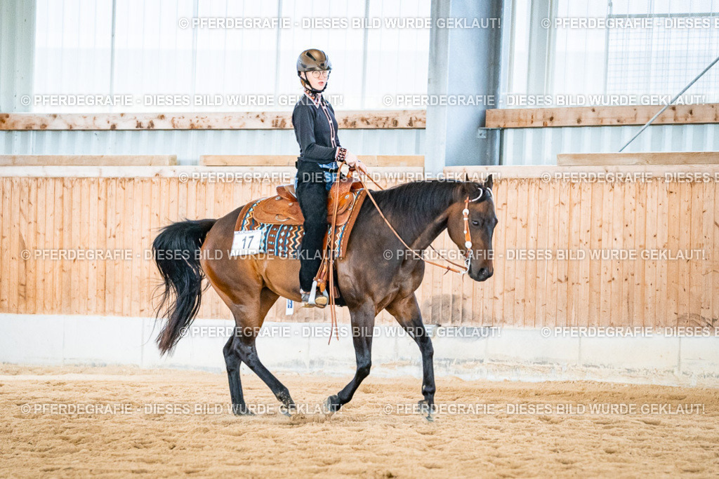 DSC02644 | Pferdegrafie