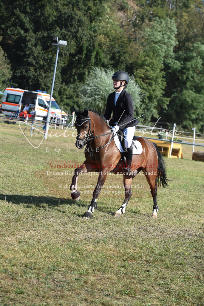 DSC_5423 | Pferde- und Turnierfotografie in Westsachsen. Pferdeportraits, Auftragszeichnungen und intuitive Kunst.
