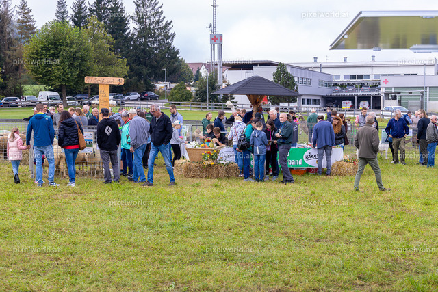 SchaZie Tag | Bildershop von pixelworld.at - Realisiert mit Pictrs.com