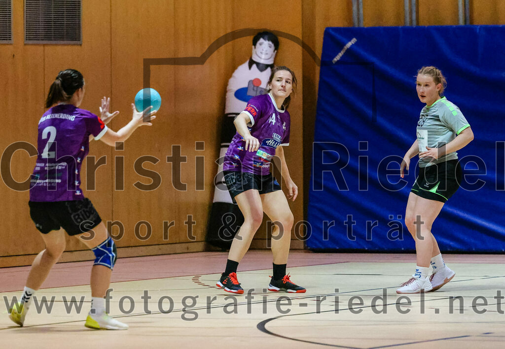 2023-11-11_039_SpVgg_Altenerding_gegen_TSV_Simbach_II | Erding, Deutschland, 11.11.2023:
Handball, Bezirksliga Frauen Altbayern 2023 / 2024, 5. Spieltag, SpVgg Altenerding II gegen TSV Simbach II, Endergebnis: 31:28

Grit Kschischow (SpVgg Altenerding, #2), Katharina Gotz (SpVgg Altenerding, #14), Paulina Podesser (TSV Simbach, #29)

Foto: Christian Riedel / fotografie-riedel.net