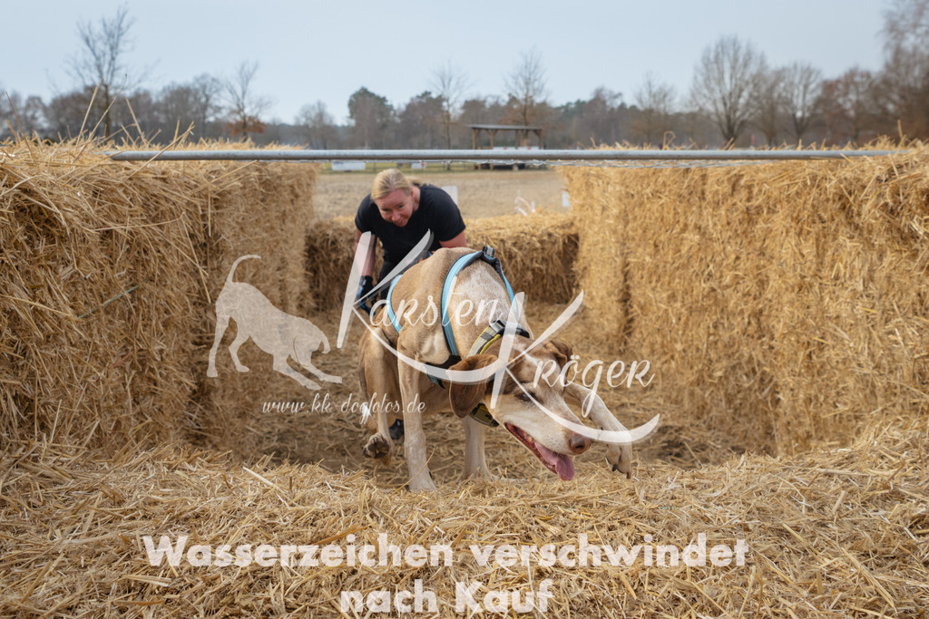 1036_ZZ96724 | kk-dogfotos