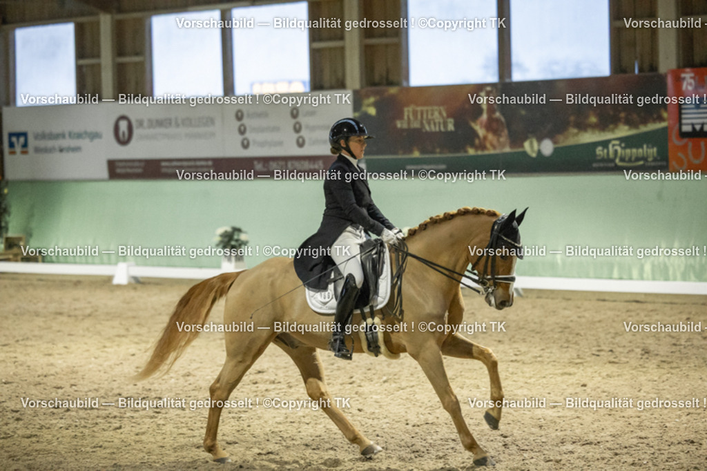 _D5A7255 | Emotionale Pferde- & People-Fotografie rund um Heidelberg, Leimen & Umgebung. Natürliche Fotos von Pferd, Mensch & Familie. Jetzt Termin sichern!