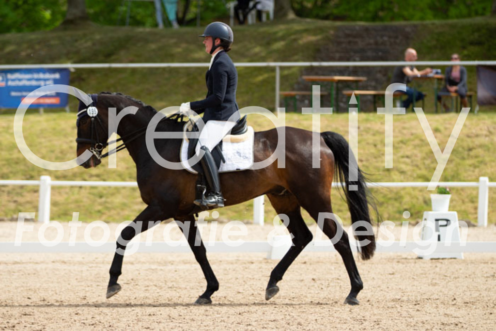 IMG_6972 | Creatify Fotografie