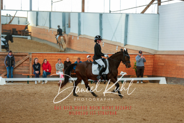 _62_7937 | Turniersportfotografie; Pferdefotografie; Dressurfotografie