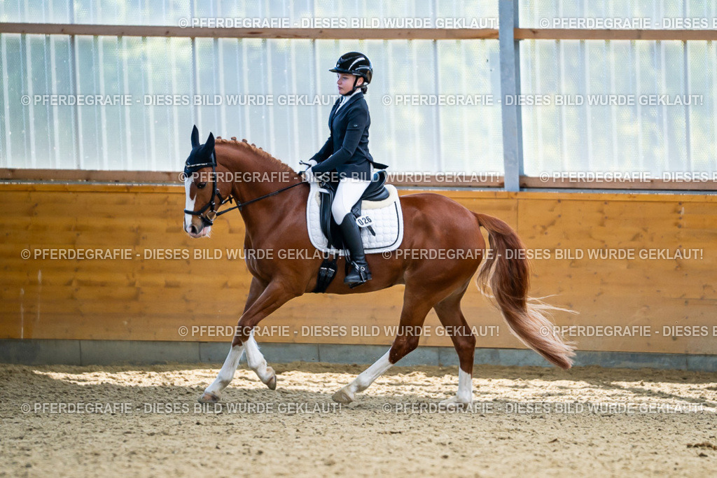 DSC05375 | Pferdegrafie