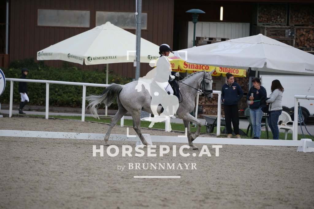 DL2Q1199 | Willkommen bei Brunnmayr - Design & Fotografie – Ihrem Spezialisten für Reitturniere und Pferdeveranstaltungen in Oberösterreich, Salzburg und Bayern! Seit über 17 Jahren sind wir leidenschaftlich dabei.