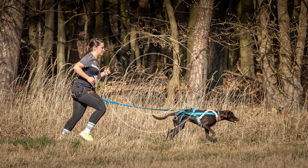 DV3A6019 | Hundefotografie, Tierfotograf, Pfotenfotografie, Fotoshooting Hund, Hunde Portrait, Hundesport, Hundeportraits, Heideshooting, Hunde, Sportfotograf, Hundefotograf, Turnierhundsport, THS,  - Realisiert mit Pictrs.com