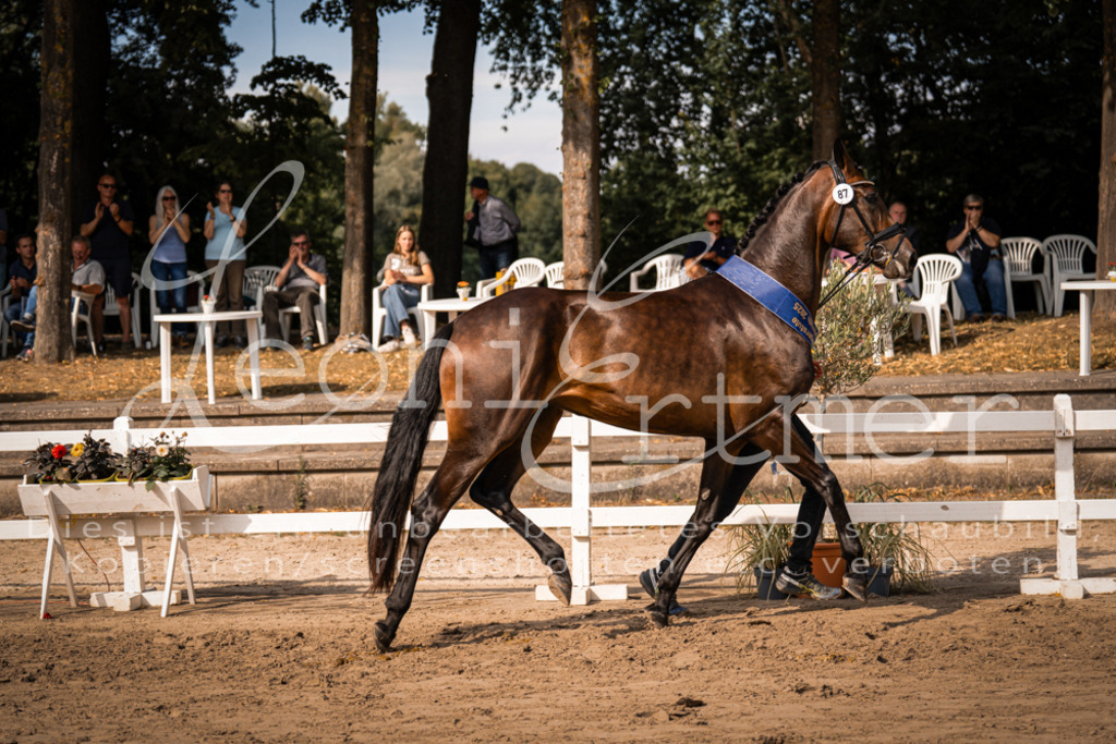 FrER00245 | Leoni Ertmer Photography - Realisiert mit Pictrs.com