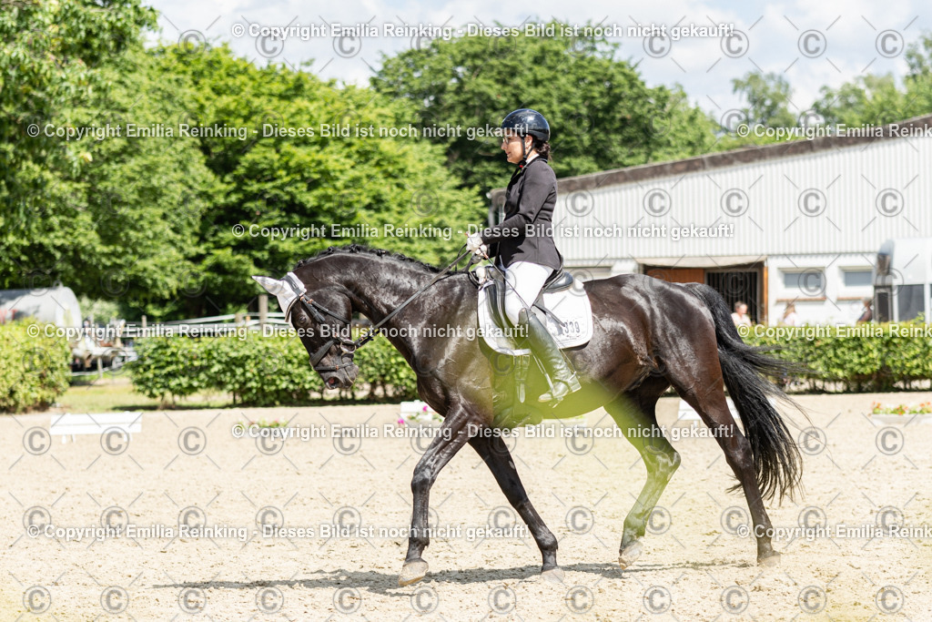 CL5A0387 | Emilia Reinking Fotografie - Realisiert mit Pictrs.com