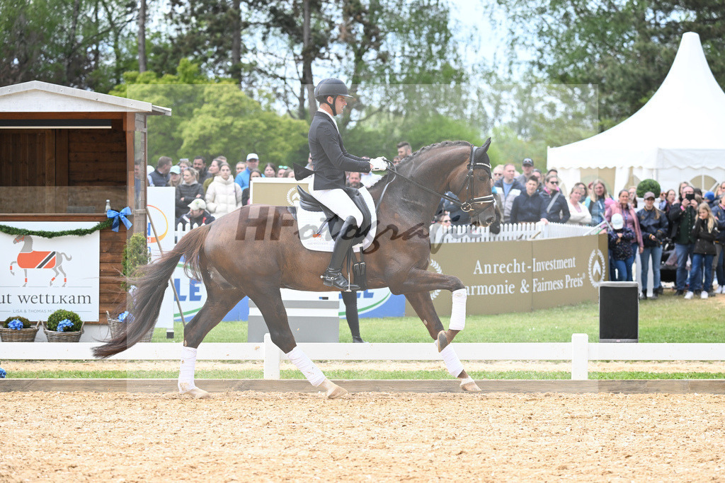 DSP Feliciano_11230765 | hf-fotografie - Realisiert mit Pictrs.com