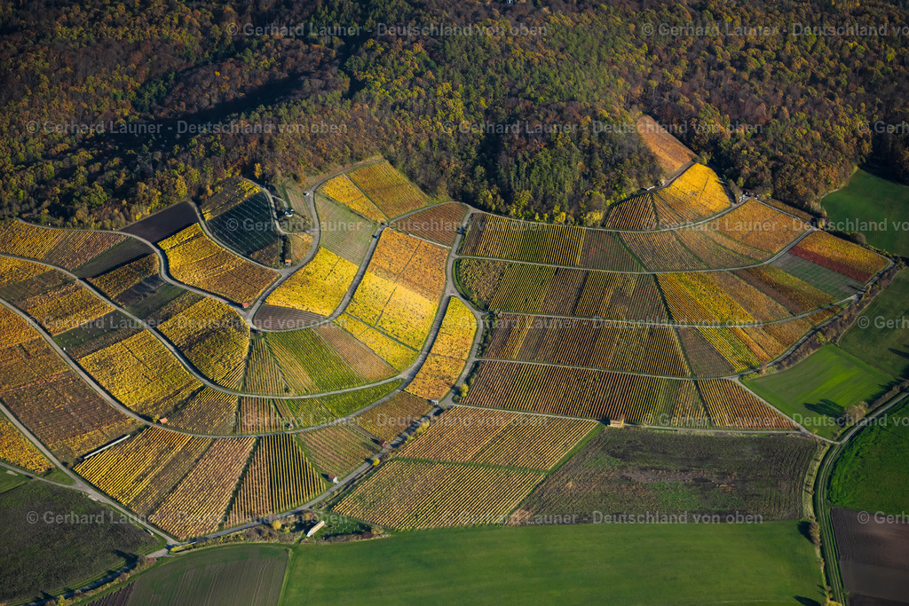 4042634 | Weinberge bei Abtswind, Weinlage Altenberg