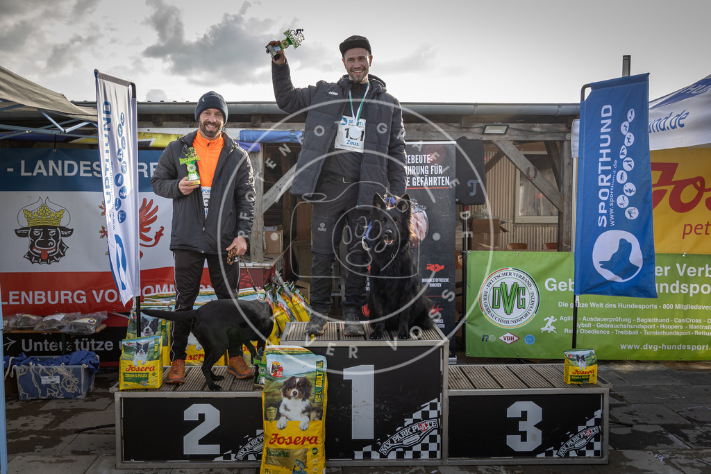 0L8A9217 | Hundefotografie, Tierfotograf, Pfotenfotografie, Fotoshooting Hund, Hunde Portrait, Hundesport, Hundeportraits, Heideshooting, Hunde, Sportfotograf, Hundefotograf, Turnierhundsport, THS,  - Realisiert mit Pictrs.com