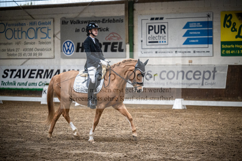 DOS_1695 | Entdecke hochwertige Reitturnierfotos von Foto Oger. Professionell, emotional und authentisch – jetzt Lieblingsmomente im Shop bestellen.Deutschlandweite Turnierfotografie. - Realisiert mit Pictrs.com
