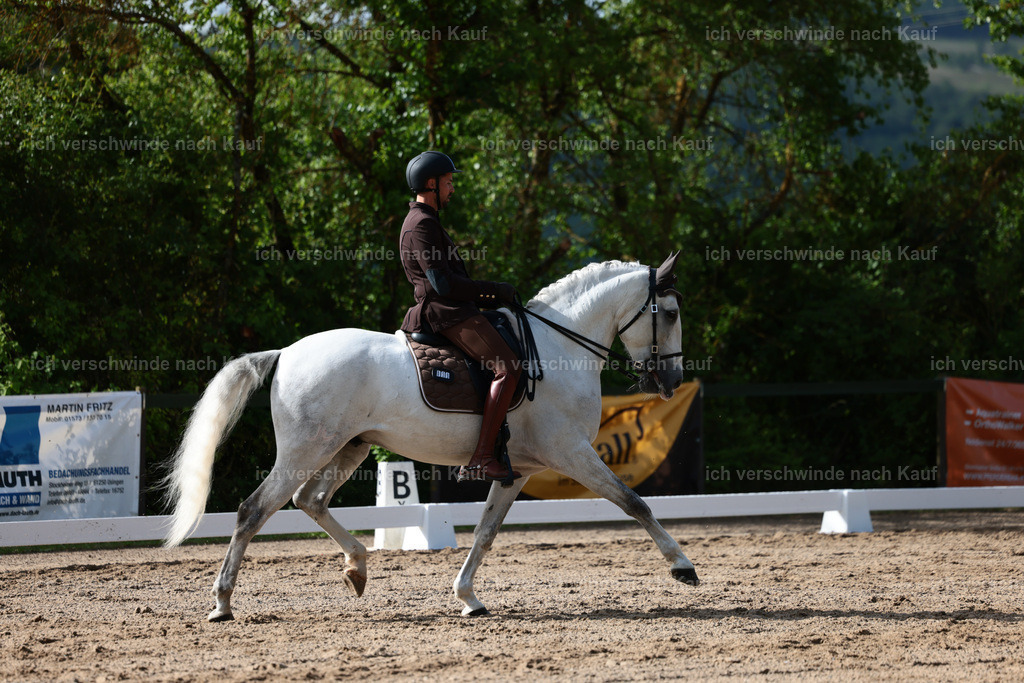 KlasseL_Stoibphotography_CAM21098.JPG | working equitationturnier fotograf videograf stoibphotography marixx film working equitation deutschland reitsport turnierfotografie eventfotografie equestrian events