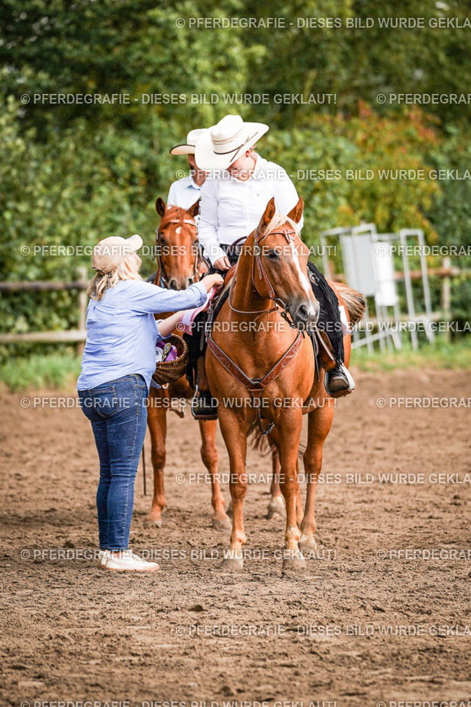 DSC09265 | Pferdegrafie