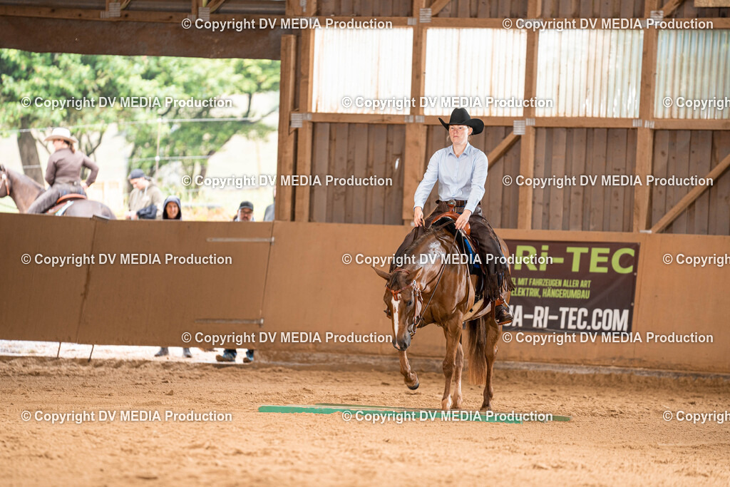 Losheim Tag 1-467 | dv-media-shop - Realisiert mit Pictrs.com