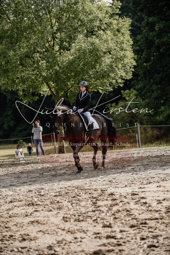 DSC_8681 | Pferde- und Turnierfotografie in Westsachsen. Pferdeportraits, Auftragszeichnungen und intuitive Kunst.