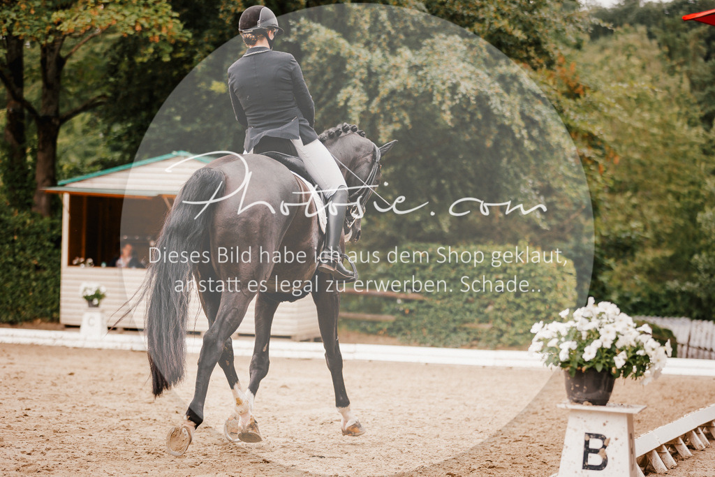 3I6A7701 | Stimmungsvolle Portraits und Reitsportfotografie im Ruhrgebiet und im Münsterland.

Pferdefotografie, Hundefotografie, Tierfotografie, Reportagen, Portraits von Tier und Mensch, Turnierfotografie in Bochum, Recklinghausen, Marl, Haltern am See, Dülmen.. - Realisiert mit Pictrs.com