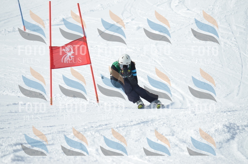 D9171 | holidayphoto