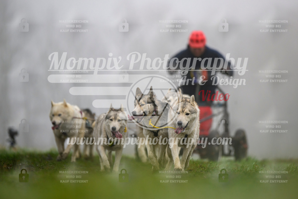 MompixPhotography_CDF2023_FFST_Di_Kart-92 | PayLife