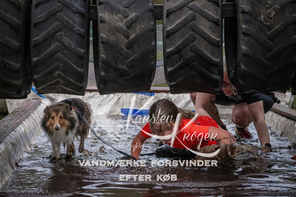 1717_ZZ90129 | kk-dogfotos