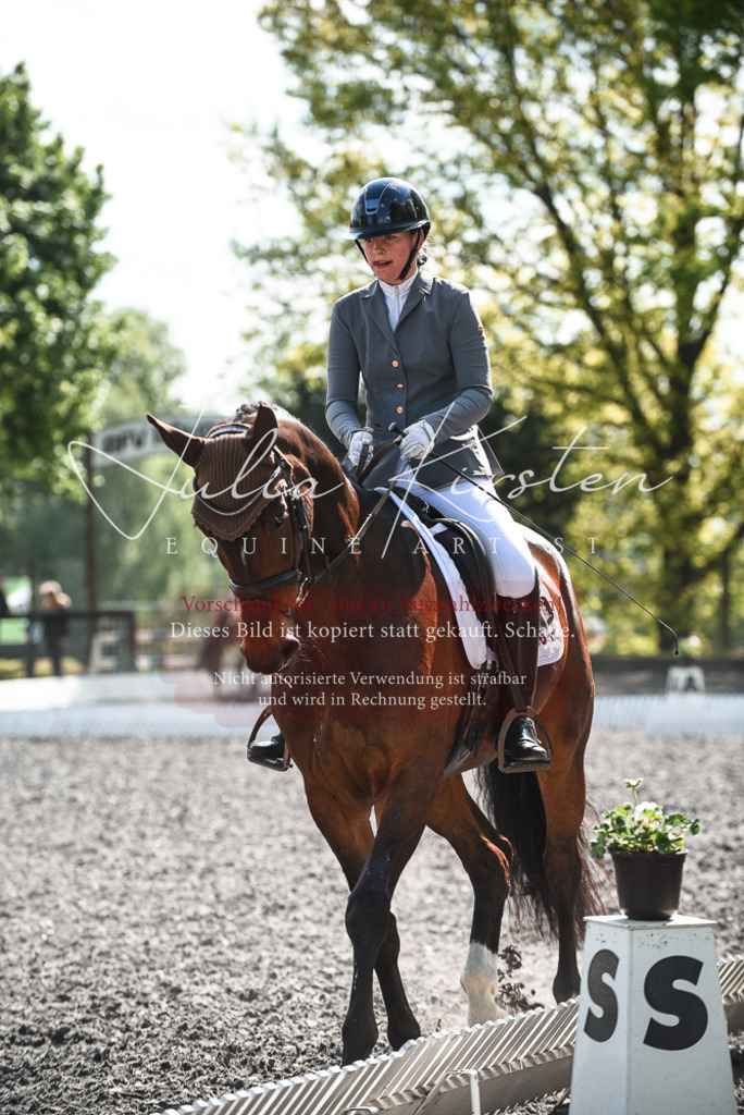 DSC_8965 | Pferde- und Turnierfotografie in Westsachsen. Pferdeportraits, Auftragszeichnungen und intuitive Kunst.
