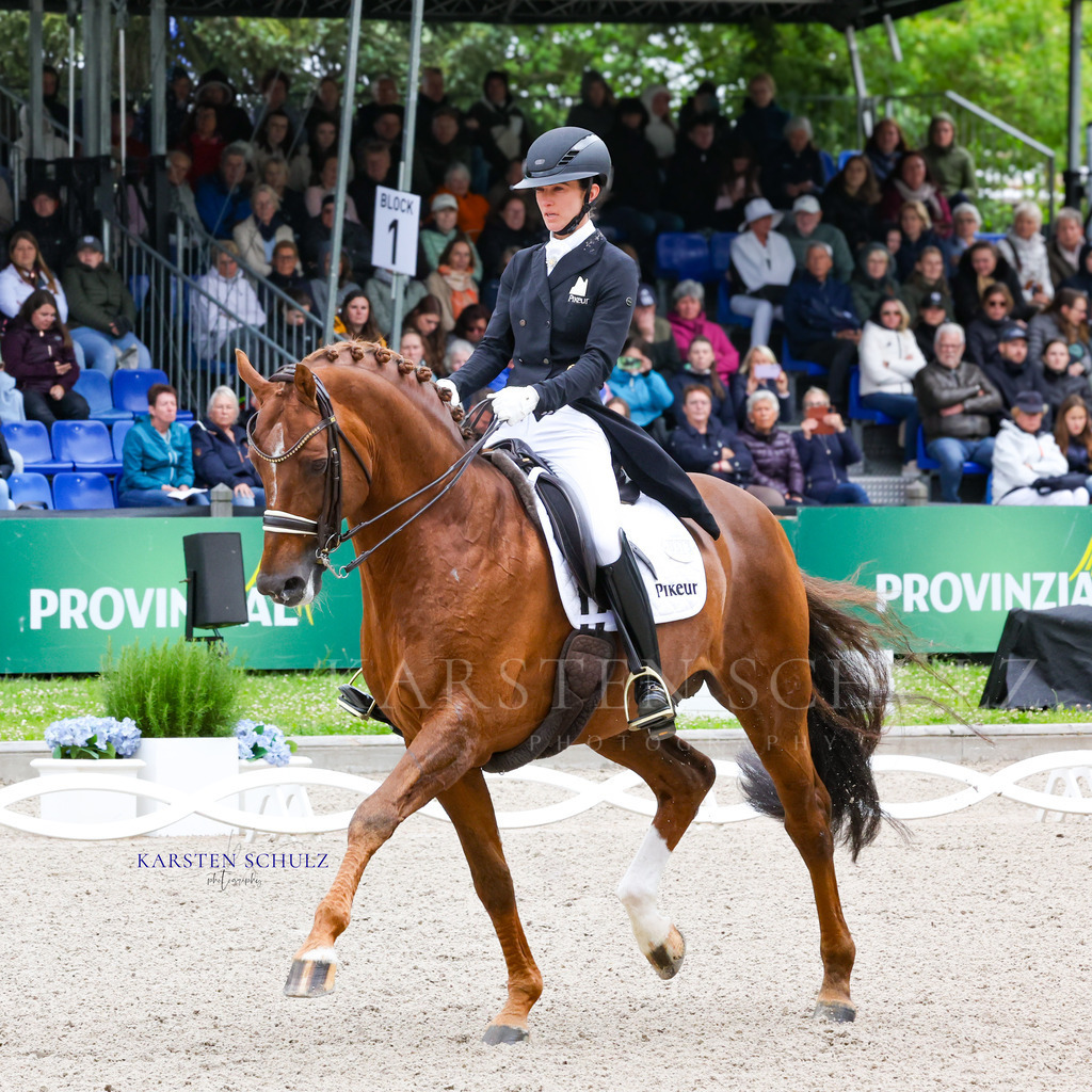 1B3A7665 | Reitsport Reiten