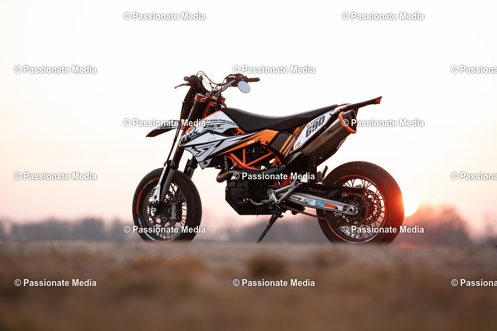 _DSC0063 | Passionate Media, dein Fotograf aus Brandenburg, Märkisch Oderland, im Bereich Motorsport, Autos und Motorräder sowie Events und auch Hunde. Shootings oder auch Eventbegleitungen können bei mir gebucht we