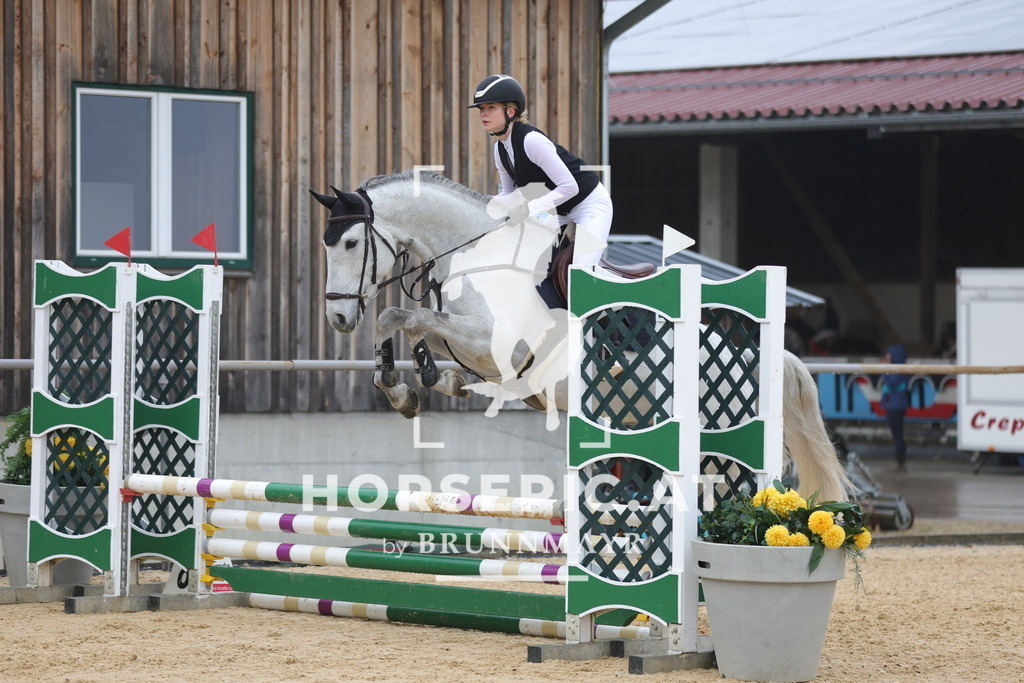 0P6A7468 | Willkommen bei Brunnmayr - Design & Fotografie – Ihrem Spezialisten für Reitturniere und Pferdeveranstaltungen in Oberösterreich, Salzburg und Bayern! Seit über 17 Jahren sind wir leidenschaftlich dabei.