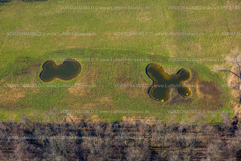 Selm230205462 | Luftbild, Wasserstellen im Josef-Lüffe-Park, Selm, Münsterland, Nordrhein-Westfalen, Deutschland