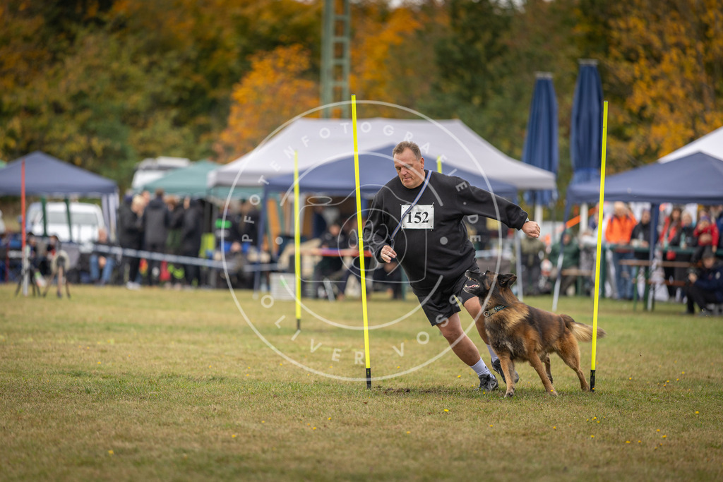 Pfotenfotografie_DV3A6452 | Hundefotografie, Tierfotograf, Pfotenfotografie, Fotoshooting Hund, Hunde Portrait, Hundesport, Hundeportraits, Heideshooting, Hunde, Sportfotograf, Hundefotograf, Turnierhundsport, THS,  - Realisiert mit Pictrs.com