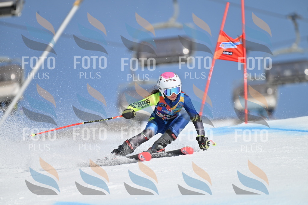 BGV_8803 | holidayphoto