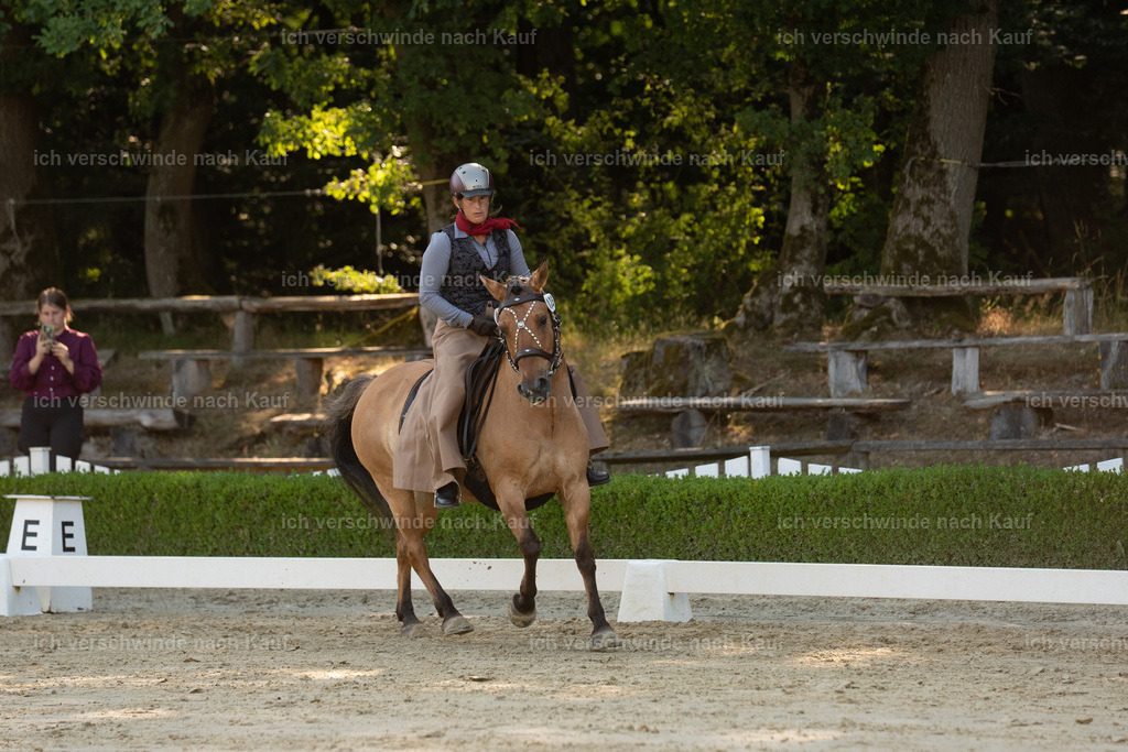 WA_DR_125_SinaFilmArt_IN00830 | working equitationturnier fotograf videograf stoibphotography marixx film working equitation deutschland reitsport turnierfotografie eventfotografie equestrian events