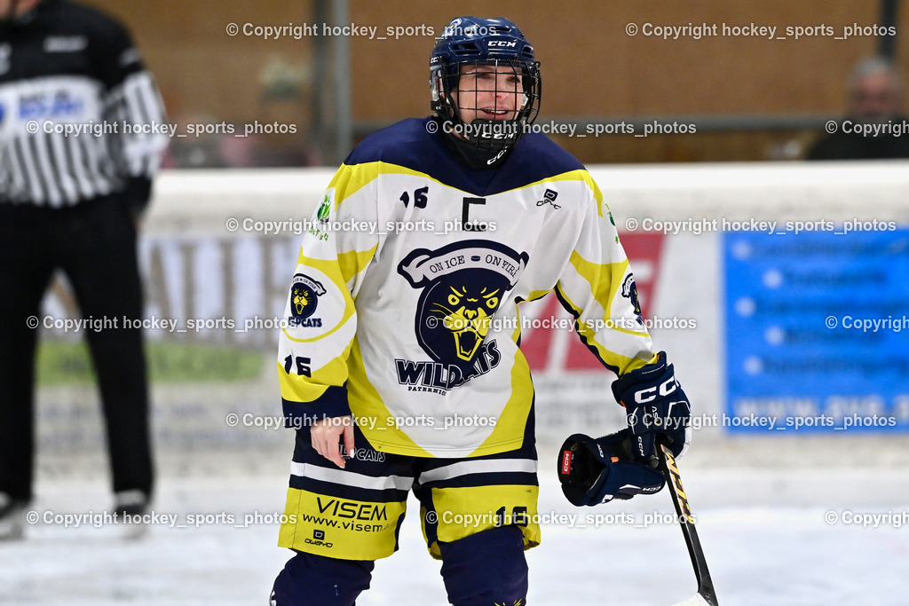 Wildcats Paternion vs. Lady Hawks  | #16 Anton Sandra WILDCATS PATERNION, Wildcats Paternion vs. Lady Hawks , Wildcats Paternion vs. Lady Hawks  am 27.01.2025 in Spittal an der Drau (Eissportzentrum Spittal), Austria, (Photo by Bernd Stefan)