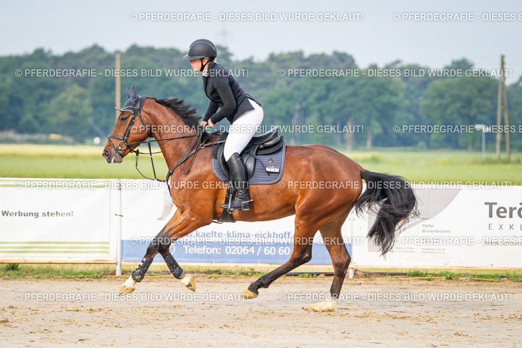 DSC07972 | Pferdegrafie