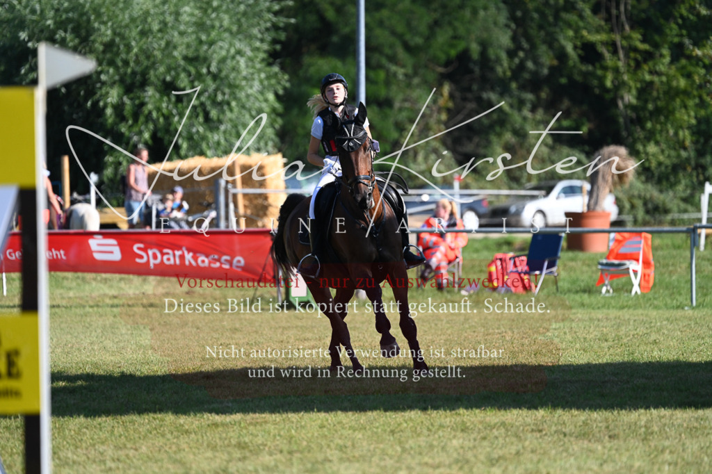 DSC_5149 | Pferde- und Turnierfotografie in Westsachsen. Pferdeportraits, Auftragszeichnungen und intuitive Kunst.