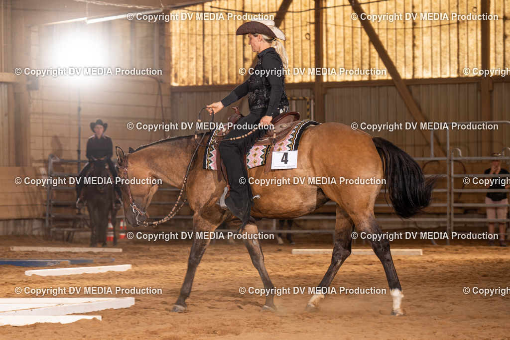 NID00614 | dv-media-shop - Realisiert mit Pictrs.com